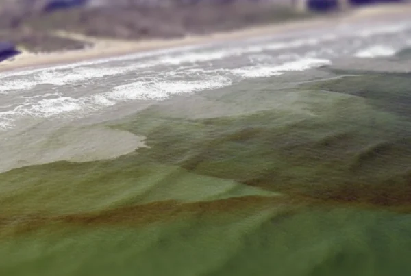 The Direct Primary Care (DPC) model offers a crucial advantage during health events like Red Tide by providing immediate, personalized access to a provider for symptom evaluation and proactive health planning, circumventing typical long wait times.